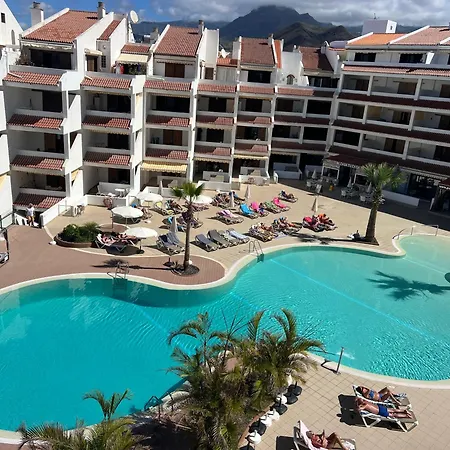 Paloma Sunset * Los Cristianos (Tenerife)