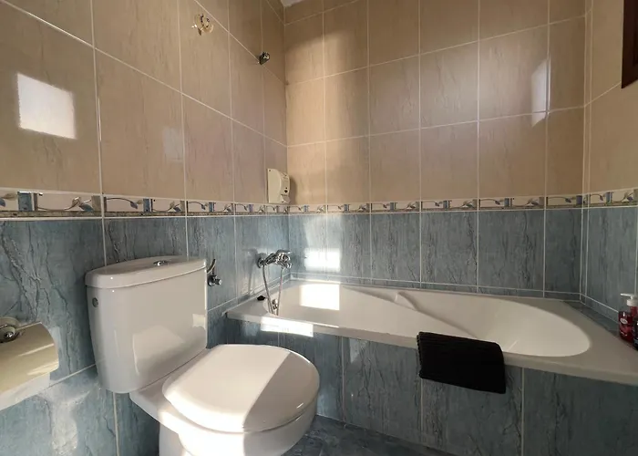 Paloma Sunset Los Cristianos (Tenerife)